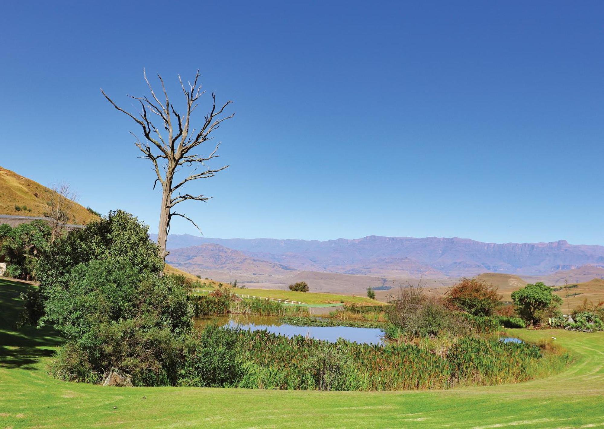 Little Switzerland Resort By Dream Resorts Ethels Drive Esterno foto